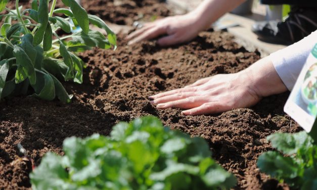 Quelle est la situation du « care of soil » en relation avec la permaculture ?